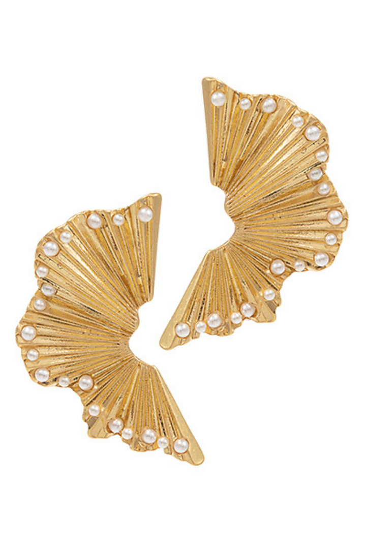 Waved Wing Shape Earrings