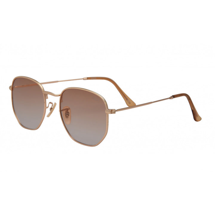 Penn Sunglasses